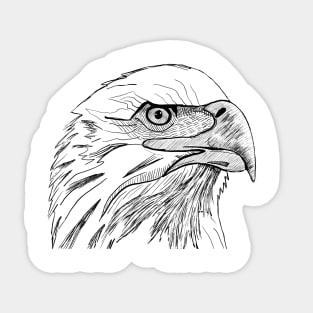 Eagle, symbol of freedom and power Sticker